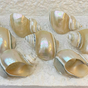 ที่ใส่ผ้าเช็ดปากธีมมหาสมุทรสำหรับตกแต่งโต๊ะจัดเลี้ยงในโรงแรม  งานแฮนด์เมดจากหอยทากและเปลือกหอย ผลิตในเวียดนาม - Product Image 1