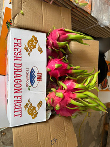 แก้วมังกรสดจากเวียดนาม – รสหวาน คุณภาพส่งออกสำหรับอินเดีย - Product Image 1