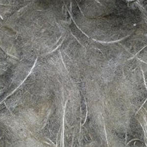 แคดดี้ปอกระเจาจากบังคลาเทศมีหลายขนาด - Product Image 6