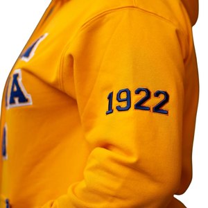 Sweat-shirt à capuche unisexe Sigma Gamma Rho Gold, détails bleus, style streetwear décontracté, confort premium - Product Image 3