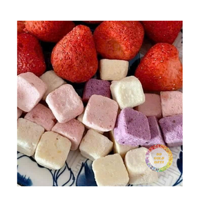 โยเกิร์ตฟรีซดราย 99 GOLD DATA ขนมขบเคี้ยวและของหวานแช่แข็ง รุ่นคาตาเรีย รสหวาน ขนาด 1 กก. บรรจุภัณฑ์แบบแพ็คใหญ่ - Product Image 2