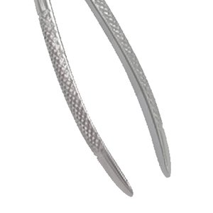 Forceps d'extraction dentaire manuels en acier inoxydable pour usage chirurgical et orthodontique, qualité A+, à vendre - Product Image 3