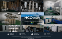 Fourniture directe d'usine HGO d'extrait de Salvia miltiorrhiza naturel pur (qualité alimentaire santé) spécification Danshensu 5% - 20%