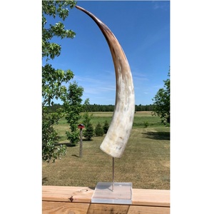Vase décoratif en corne de buffle, forme irrégulière, effet vieilli, pièce unique - Product Image 6