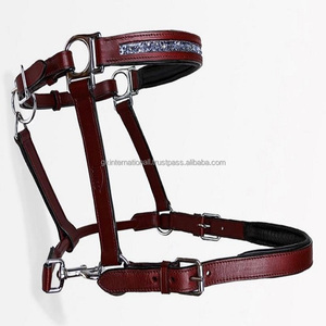 Cabestro de caballo de cuero genuino marrón decorativo ostentoso con cristales azules personalizados con doble costura y doble hebilla de níquel - Product Image 3