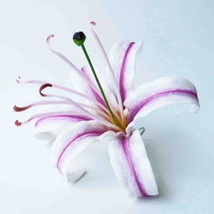 Hot seller Produit de Thaïlande Spider Lily Foam Flower avec un motif d'impression au pinceau unique (Pack 100 pièces) - Product Image 4