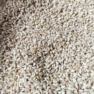 Factory Direct SANTIGO Nuts Kernels Kaju Cashew Nuts Broken Kaju Short Leadtime - Product Image 1