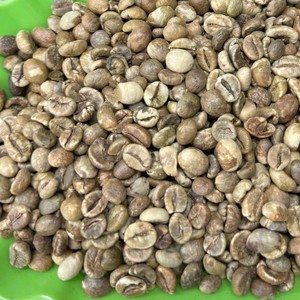 เวียดนาม โรบัสต้า 25% G3 เมล็ดกาแฟดิบ ผู้จัดจำหน่ายส่งออกจำนวนมาก พร้อมข้อกำหนดขนาดตะแกรงแบบกำหนดเองสำหรับผู้ซื้อระหว่างประเทศ - Product Image 1