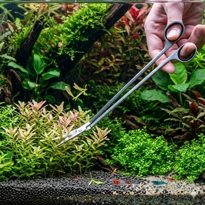 Tijeras Curvas de 10 Pulgadas para Acuarios, para Acuicultura y Poda, OEM - Product Image 1