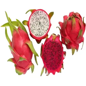 Vietnam Dried dragon fruit is exported to many countries around the world and is a fruit from the tropics