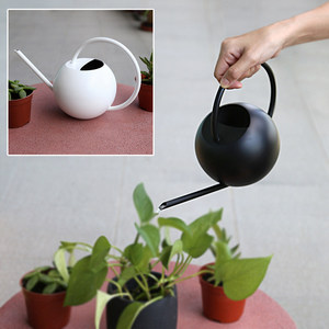 Arrosoir moderne <span class=keywords><strong>en</strong></span> acier inoxydable avec poignée <span class=keywords><strong>en</strong></span> bois, bec long, pour plantes d'intérieur, arrosoir de <span class=keywords><strong>jardin</strong></span> minimaliste nordique - Product Image 4