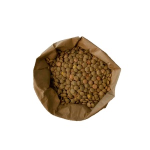 Lentejas Verdes Orgánicas Seleccionadas de Granja, Alimento Seco Preparado para Importadores Mayoristas que Requieren Legumbres Empacadas de Calidad - Product Image 2