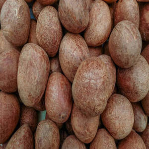 Coco Seco Indio Premium Natural en Rodajas, Copra Madura de Nueva Temporada, Procesado por Deshidratación (FD), Dulce, para Procesamiento Comercial de Alimentos, Venta al por Mayor - Product Image 1