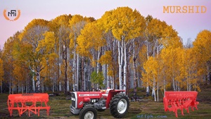 Tracteur Massey Ferguson MF 260 - Product Image 6