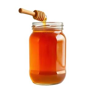 Fournisseur indien de miel naturel parfait pour les gâteaux biscuits pain et autres délicieuses friandises disponibles au prix d'usine - Product Image 1