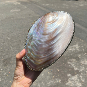 Vintage Oval <b>Abalone</b> <b>Shell</b> Jewelry Box | Natural Iridescent Scallop Case | Luxury Rainbow Shimmer Decor & Keepsake Gift - Product Image 4