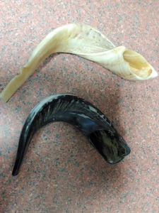 Corne de Shofar en matériau organique écologique, fabriquée sur mesure pour des usages religieux juifs, qualité supérieure - Product Image 3