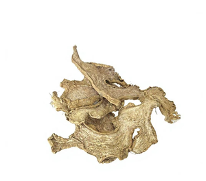 Jengibre Seco de Vietnam, Precio Bajo, Mejor Venta, Suministro del Fabricante, Estándar Internacional, 5kg/10kg/20kg - Product Image 5