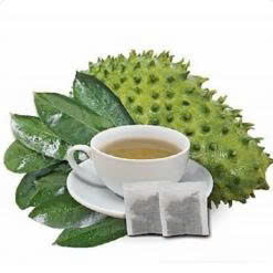 B2B Bulk Supply Raw Dried Soursop Leaves Natural Graviola Herbal Health <b>Tea</b> Drinks Premium Guanabana Loose Leaves Factory Price - Product Image 4