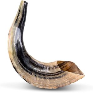 Cuerno de Shofar Natural de Carnero, Precio Accesible, Hecho a Mano, Cuerno Religioso Judío para Oración, Ceremonia y Uso Espiritual - Product Image 6
