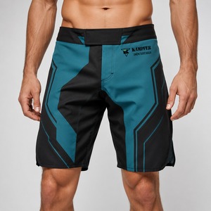 Shorts de boxe haut de gamme en polyester/nylon, tissu extensible léger, logo personnalisable sur le devant, pour l'entraînement, le sparring et la compétition - Product Image 1