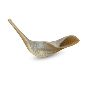 Shofar en corne de bélier de qualité supérieure, corne naturelle pour la récitation, shofar casher, shofar juif, shofar religieux - Product Image 2