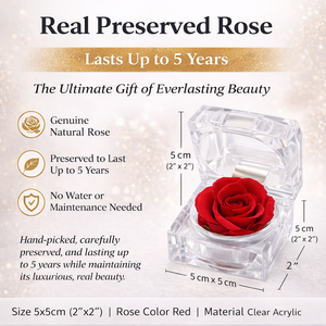 Regalo de Lujo en Caja Acrílica Transparente, Conservado, Duración de 5 Años, Recuerdo de Boda, Regalo de San Valentín, Logotipo Personalizado Disponible - Product Image 3