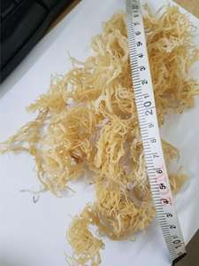 <b>Dried</b> Sea <b>Moss</b> Premium 100% Natural Seamoss 8oz Bag Dry Irish Seamoss for Gel Purple <b>Dried</b> Seamoss 16 oz 4 Oz ANGLE - Product Image 6