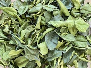 Hojas de Kaffir Lime Secas de Calidad de Exportación, Hierba Aromática Natural para Cocinar Comida Tailandesa, Cocina Asiática, Venta al por Mayor, Vietnam - Product Image 3