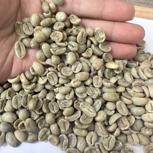 เมล็ดกาแฟอาราบิก้าเวียดนามแบบฟูลวอช SCR16 SCR18 แบบไม่คั่ว ขายส่งจำนวนมาก สำหรับส่งออก บรรจุในถุงปอกระเจา 60 กก. / ANNA D - Product Image 6