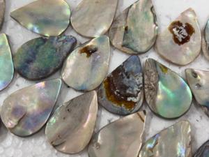 Premium Natural <b>Abalone</b> <b>Shell</b> Cabochons Iridescent Paua <b>Shell</b> Flatback Stones Bone Multi Colored for Jewelry Making <b>Shells</b> - Product Image 5