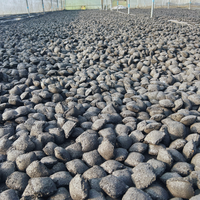 Briquettes de charbon de coco de qualité export en vrac pour barbecue, haute valeur calorifique, sans fumée, inodore, écologiques, 60-75% de matière fixe