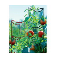Ensemble de supports pour plantes de tomates, lot de 3
