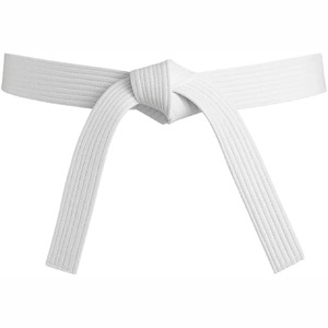 Ceintures de karaté en coton de qualité supérieure avec logo personnalisé, équipement d'entraînement d'arts martiaux avec emballage haut de gamme, ceintures de karaté et de BJJ en coton - Product Image 2