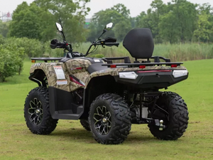 Quad 2 places Chithan DIY pour adultes, utilitaire, en plastique, 400cc, transmission par chaîne, automatique, 4 temps, 1000W, 4 roues motrices, essence/diesel, ODM, garantie 3 ans - Product Image 5