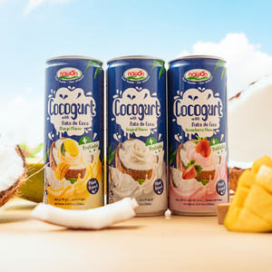 Produits les plus vendus 100% végétalien Boisson au cocogurt saveur fraise 250ML Fabricant vietnamien Lait de coco naturel avec prébiotiques - Product Image 3
