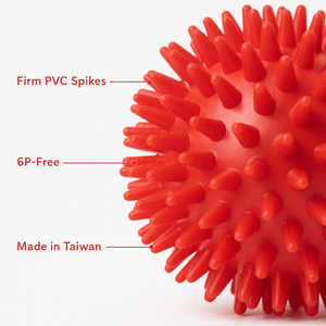 ชุดลูกบอลเสริมพัฒนาการสัมผัสแบบมีหนาม 5 ขนาด 6-10 ซม. ผลิตจาก PVC แข็งแรง ปลอดสารพิษ สำหรับเด็ก นวดได้ทั่วร่างกาย ผลิตในไต้หวัน รับผลิตแบบ OEM - Product Image 6
