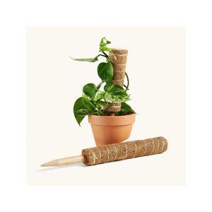 Estaca de Fibra de Coco de Calidad Premium para un Soporte Vertical Confiable para Plantas Trepadoras y una Retención de Humedad Eficiente, Set de Hidratación de Raíces - Product Image 1