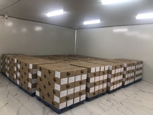 มะม่วงอบแห้งแบบ OEM สำหรับแบรนด์ส่วนตัว |   ขนมขบเคี้ยวเนื้อนุ่มพรีเมียม ไม่เติมน้ำตาล แบบหั่นเป็นชิ้น สำหรับบรรจุภัณฑ์ขายปลีกและกล่องของขวัญ - Product Image 4