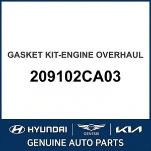 G70 ปะเก็นและซีลใหม่ 209102CA03 - Product Image 1
