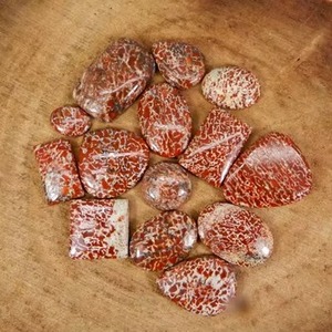 Lote al por mayor de gemas de hueso de dinosaurio natural rojo de calidad AA, cabujón de forma libre, origen AU, Ishu Gems - Product Image 1