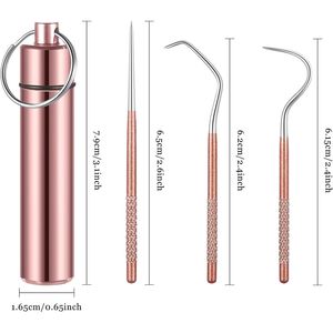 Set di Stuzzicadenti Portatili in Titanio, Riutilizzabili in Acciaio Inossidabile con Porta Stuzzicadenti per Picnic all'Aperto e Viaggi, Cura Orale - Product Image 1