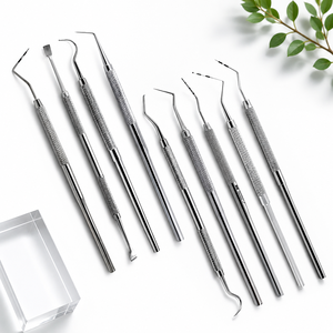 Professional Dental Examination <b>Kit</b> 2025 Stainless Steel with Mirror Probe Scaler Autoclavable Oral Care Surgical Instruments - Product Image 1