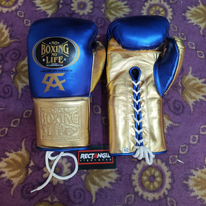 ถุงมือ MMA หนังแท้ Custom No Boxing No Life สำหรับฝึกซ้อมและต่อสู้ กันลื่น ระบายอากาศ ป้องกันรังสียูวี แบบเต็มนิ้ว ผูกเชือก - Product Image 5