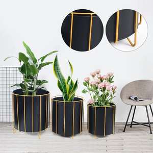 Jardinería Artesanía de metal esencial Forma personalizada y macetas de diseño para decoraciones de entrada de hogar y oficina - Product Image 2