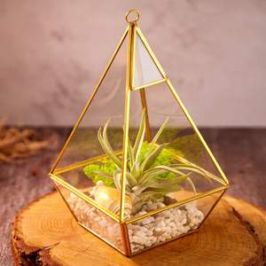 Terrario de Vidrio y Metal con Diseño Geométrico de Pirámide, Decoración Elegante para Plantas de Interior, Suculentas, Regalos y Hogar - Product Image 1