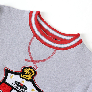 เสื้อสเวตเชิ้ตยูนิเซ็กซ์ปักลาย Grey Crest Chenille Crewneck Fraternity |   ผ้าโพลีเอสเตอร์/คอตตอนสำหรับฤดูหนาว ทรงปกติ - Product Image 6