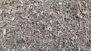 MDS Coco Chips Lavados 650g Bloque, Sustrato de Fibra de Coco Biodegradable y Ecológico para Jardinería, Orquídeas y Paisajismo - Product Image 5