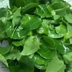 ใบไม้เขียวแช่แข็งจากแม่น้ำ สำหรับทำซุปสไตล์เอเชียตะวันออกเฉียงใต้แบบดั้งเดิม - Product Image 4