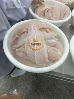 Filete de marisco Pangasius TAKIMEX, fabricante de filete de bagre congelado Hypophthalmus Pangasius 100%, materiales frescos, estándar de la UE